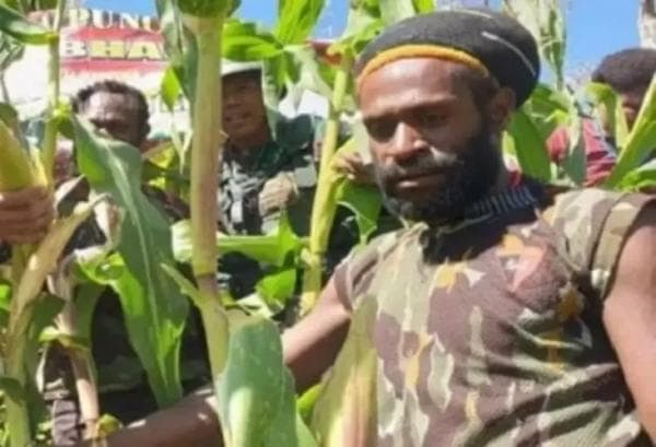 Kembali ke NKRI dan Jadi Petani, Ini Kisah Mantan Ajudan Pentolan OPM Papua