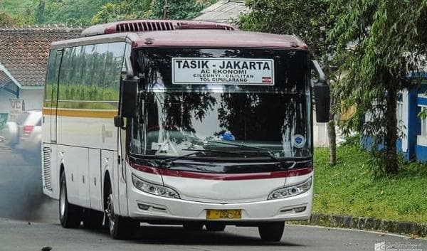 PO Primajasa Raja Trayek Bus Jawa Barat hingga Banten, Ternyata Ini Pemilik! PO Primajasa Raja Trayek Bus Jawa Barat hingga Banten, Ternyata Ini Pemilik!