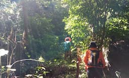 Pencarian Wanita Lansia yang Hilang di Hutan Mapitara Sikka Dihentikan Tim SAR