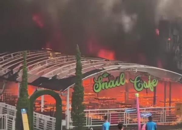 7 Fakta Kebakaran Taman Bunga Celosia Bandungan, Nomor 4 Mencekam 7 Fakta Kebakaran Taman Bunga Celosia Bandungan, Nomor 4 Mencekam