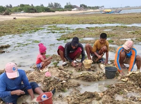 Nelayan Binuangeun Nunggu Cuaca Membaik Manfaatkan Waktu Cari Kerang Kijing di Pantai