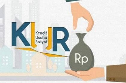 Dukungan Lembaga Keuangan Desa dan KUR, Jadi Modal Utama Petani Milenial di Daerah