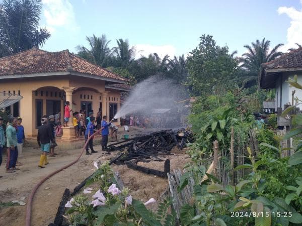 Damkar Way Kanan Bantu Padamkan Api yang Hanguskan Hasil Pertanian di Bali Shadar Utara Banjit