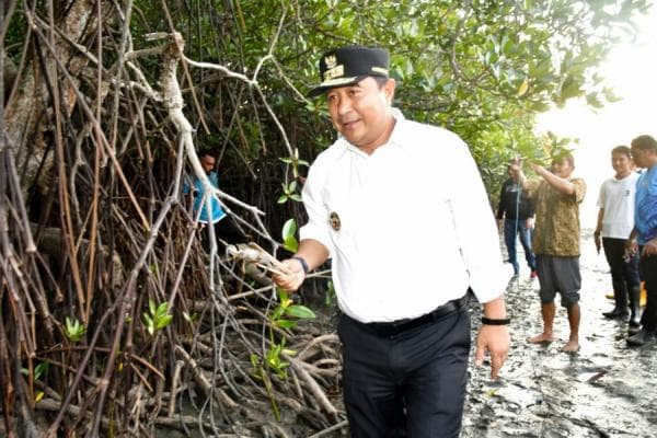 Pj Gubernur Sulbar Tebar Bibit Kepiting untuk Kembangkan Potensi Ekonomi