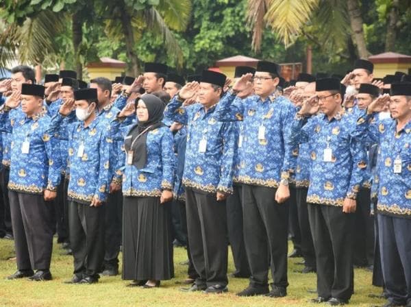 Ini Informasi Lowongan CPNS Kebumen, Ada 335 Formasi