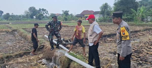 Sinergitas Tiga Pilar Desa Pohkecik Tinjau Sumur Bor Untuk Pengairan Warga