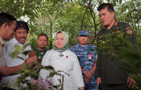 Program Strategis Nasional, Barantin Kirim Ribuan Bibit Tanaman Herbal ke Taman Sains Teknologi