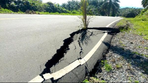 Jalan Trans Pasangkayu Retak, Warga Gunakan Daun Sawit Sebagai Penanda