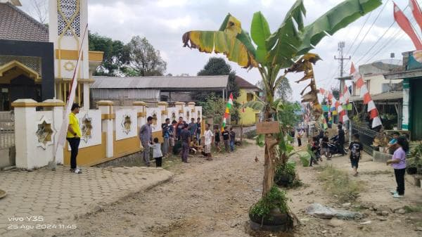 Protes Jalan Rusak Parah, Warga Pasir Angin Purwaiarta Tanam Pohon Pisang di Tengah Jalan