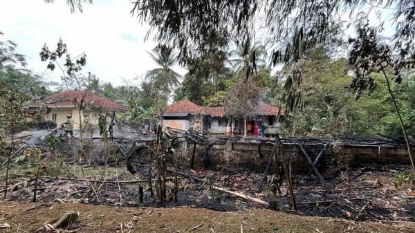 Kandang Ayam di Kampung Gajah Ciamis Ludes Terbakar, Ribuan Ekor Anak Ayam Mati Terpanggang