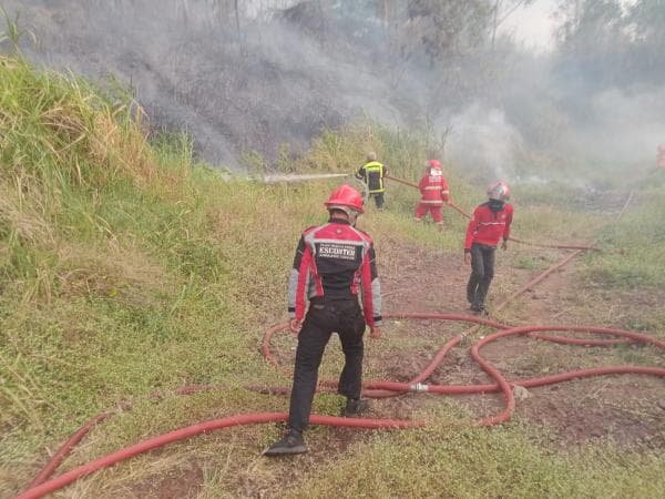 Gara-gara Bakar Sampah Sembarangan, Cianjur Dilanda Empat Karhutla Dalam Sehari