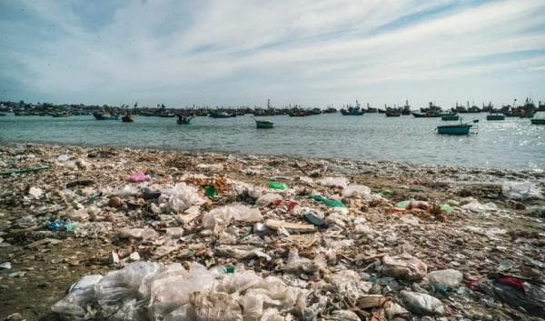 PCX Markets Berhasil Cegah 100 Juta Kilogram Limbah Plastik Cemari Alam