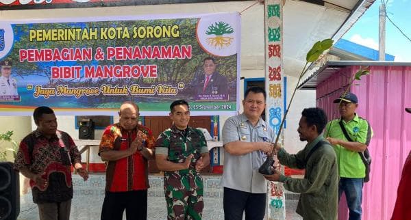 Lindungi Ekosistem, Dinas PPLH Kota Sorong Tebar 210 Bibit Manggrove Bagi Masyarakat Pesisir