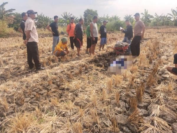 Seorang Petani di Godong Grobogan Ditemukan Tak Bernyawa di Sawah Miliknya