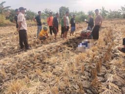 Seorang Petani di Godong Grobogan Ditemukan Tak Bernyawa di Sawah Miliknya