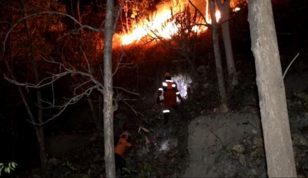 Hutan di Ponorogo Terbakar hingga Ancam Pemukiman Warga, Ini Lokasinya