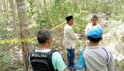 Tragis! Seorang Ibu Hamil di Musi Rawas Meninggal setelah Terinjak  Sekawanan Gajah Liar