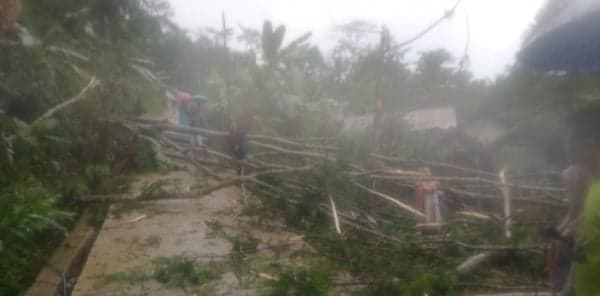 Hujan Deras dan Angin Kencang, Pohon Tumbang Rusak Rumah Warga dan Jalan di Cikoneng Ciamis