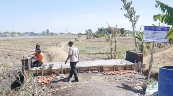 Pembangunan Jalan Menuju Akses Pertanian Diperbaiki, Petani di Probolinggo Sumringah