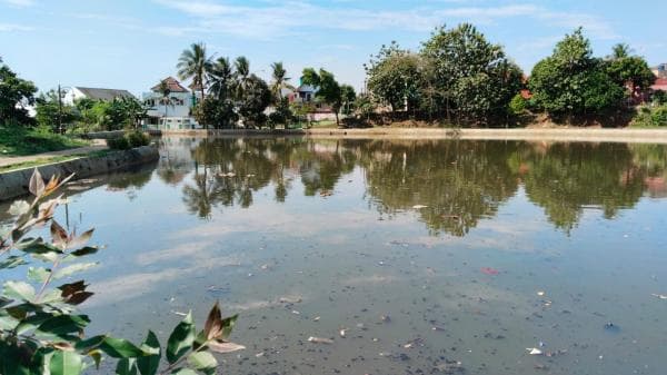 6 Bulan Jaring Besi Rusak Dicuekin PUPR Depok, Sampah Plastik Penuhi Situ Bahar