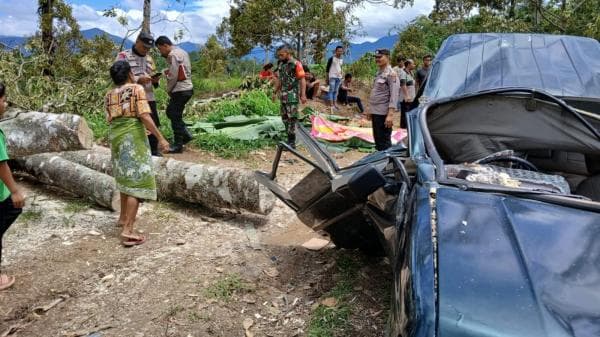 Sekeluarga Asal Deliserdang Tertimpa Pohon Besar saat Liburan di Kebun Durian, 3 Tewas 2 Selamat