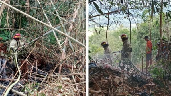 Kebakaran Lahan dan Hutan Kembali Terjadi di Ciamis, Kebun Salak dan Bambu Ludes Terbakar