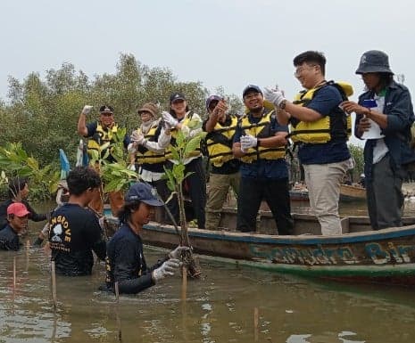 Lewat Catalytic Fund, FishLog Gelar Penanaman 5000 Pohon Mangrove di Muara Gembong