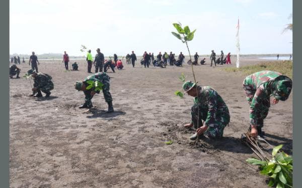 Peringati HUT TNI ke-79, Kodim 0625 Pangandaran Tanam 1.000 Mangrove di Pesisir Pantai Pangandaran