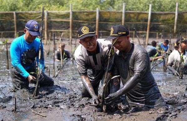 Cegah Abrasi, Stimaryo Tanam 1.500 Mangrove di Laguna Pengklik Bantul