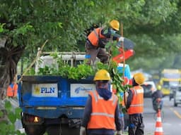 Info Pemadaman Aliran Listrik Oleh PT PLN Purwodadi Pada Senin 30 September 2024, Ini Lokasinya