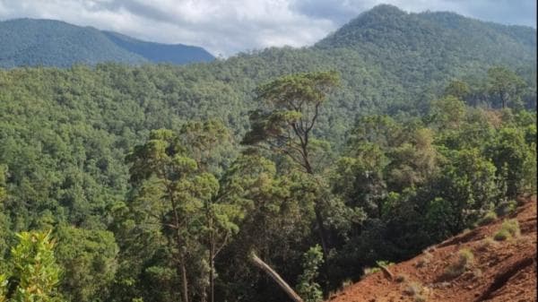 Lahan Dirampas dan Dijual Sepihak ke Perusahaan Tambang, Puluhan Warga Kabaena Melawan