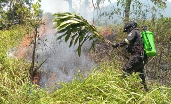 Puntung Rokok Diduga Jadi Penyebab Kebakaran Lahan di Bandorasa Wetan, Kuningan