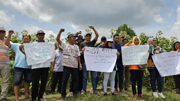 Polemik Aturan Baru, Petani Tembakau Terancam, Ekonomi Daerah di Ujung Tanduk