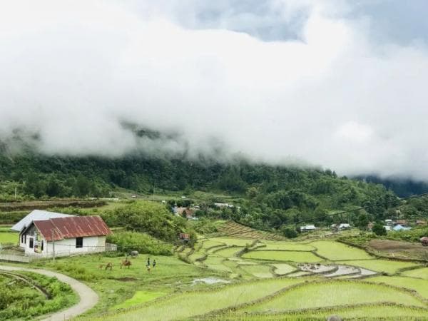 Pesona Desa Limbong, Surga Tersembunyi di Luwu Utara yang Wajib Dikunjungi