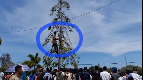 Demi Lihat Presiden Jokowi, Pelajar di Timor Tengah Utara Nekat Panjat Pohon