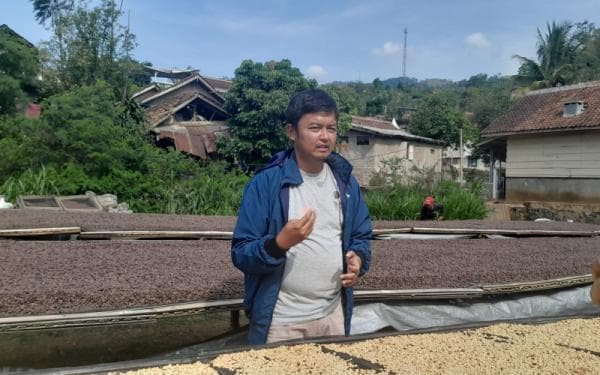 Berhasil Tembus Pasar Dunia, Begini Cara Pengelolaan Kopi Asal Bandung