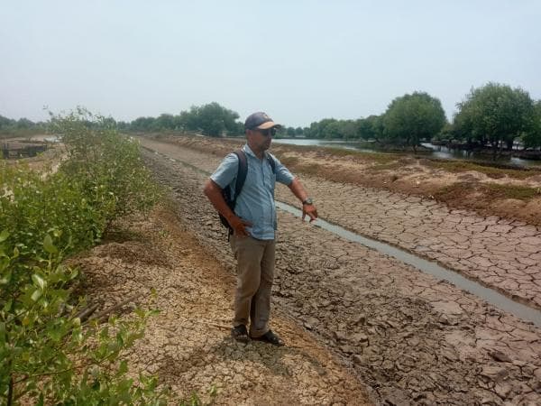 Kekeringan dan Pendangkalan Parah Terjadi di Saluran Tambak Desa Muara Subang