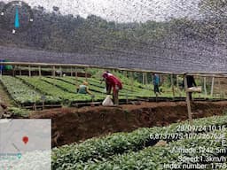 Kelompok Tani Pasir Jirak Harap Dukungan Lebih untuk Manfaatkan Potensi Pertanian Lokal