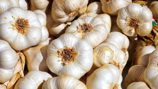 Berikut Selisih Harga Bawang Putih di Tulungagung, Blitar dan Trenggalek