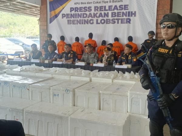 Pemilik Benih Lobster Selundupan Bernilai Puluhan Miliar Diburu Aparat Bea Cukai, Ini Sosoknya