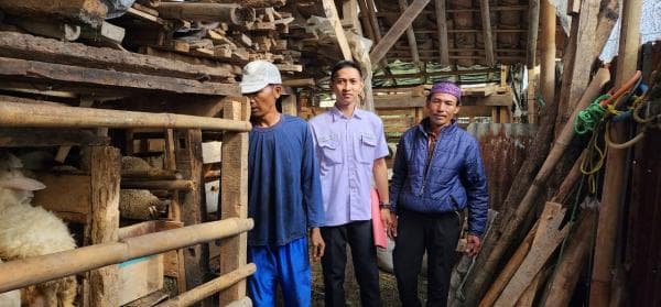 Pertumbuhan Kelompok Ternak di Cianjur Meningkat Dua Kali Lipat 