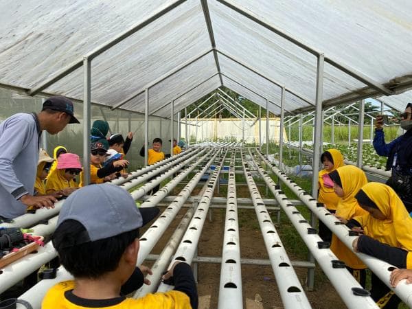 Kenalkan Pertanian Sejak Dini, Siswa-siswi PAUD Kunjungi Tefa SMK PP Kementan