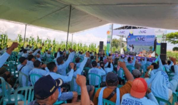 Advanta Seeds Indonesia Luncurkan Produk Jagung Manis Hibrida Unggulan di Banyuwangi