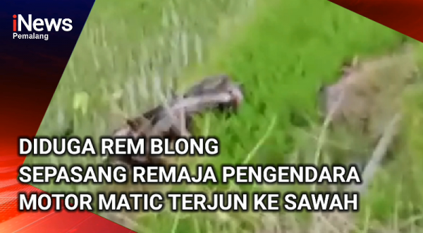 Video: Diduga Rem Blong Sepeda Motor Terjun ke Sawah, Sepasang Remaja Masuk Lumpur