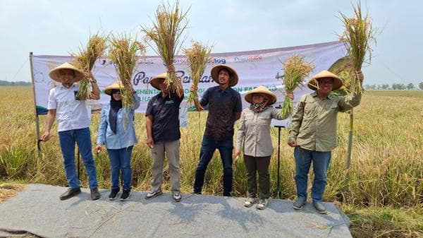 Teknologi Precision Farming, Inovasi Pupuk Indonesia Tingkatkan Produktivitas Pertanian