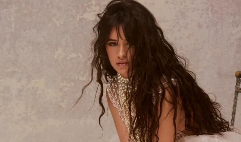 Makna Lagu Shameless - Camila Cabello dan Liriknya, Viral di TikTok! Makna Lagu Shameless - Camila Cabello dan Liriknya, Viral di TikTok!