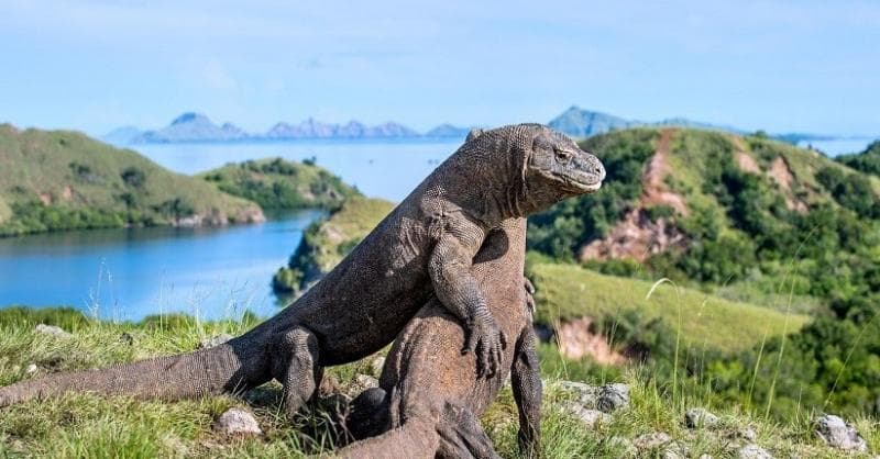 RSUD Komodo Labuan Bajo Jadi Rumah Sakit Rujukan KTT ASEAN Summit