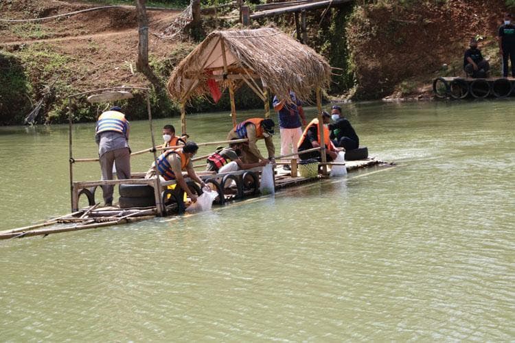 Dinas Kelautan dan Perikanan DIY Larang Penebaran Ikan Invasif, Lele dan Nila Tidak Boleh