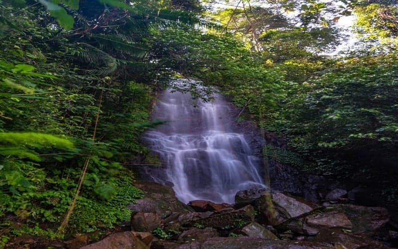 15 Tempat Wisata Keluarga di Bogor, dari Curug hingga Wahana Bermain Anak yang Seru