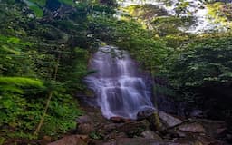 15 Tempat Wisata Keluarga di Bogor, dari Curug hingga Wahana Bermain Anak yang Seru